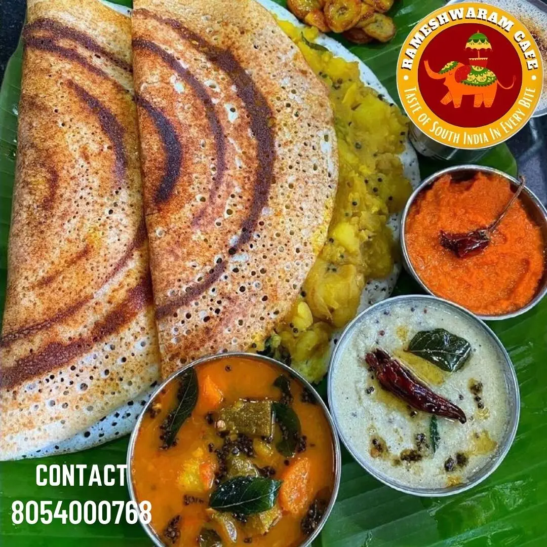 delicious and spicy south indian food
